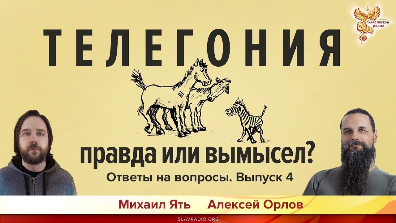 Телегония. Телегония правда или вымысел. Телегония правда. Телегония у людей правда или вымысел. Телегония правда или ложь.